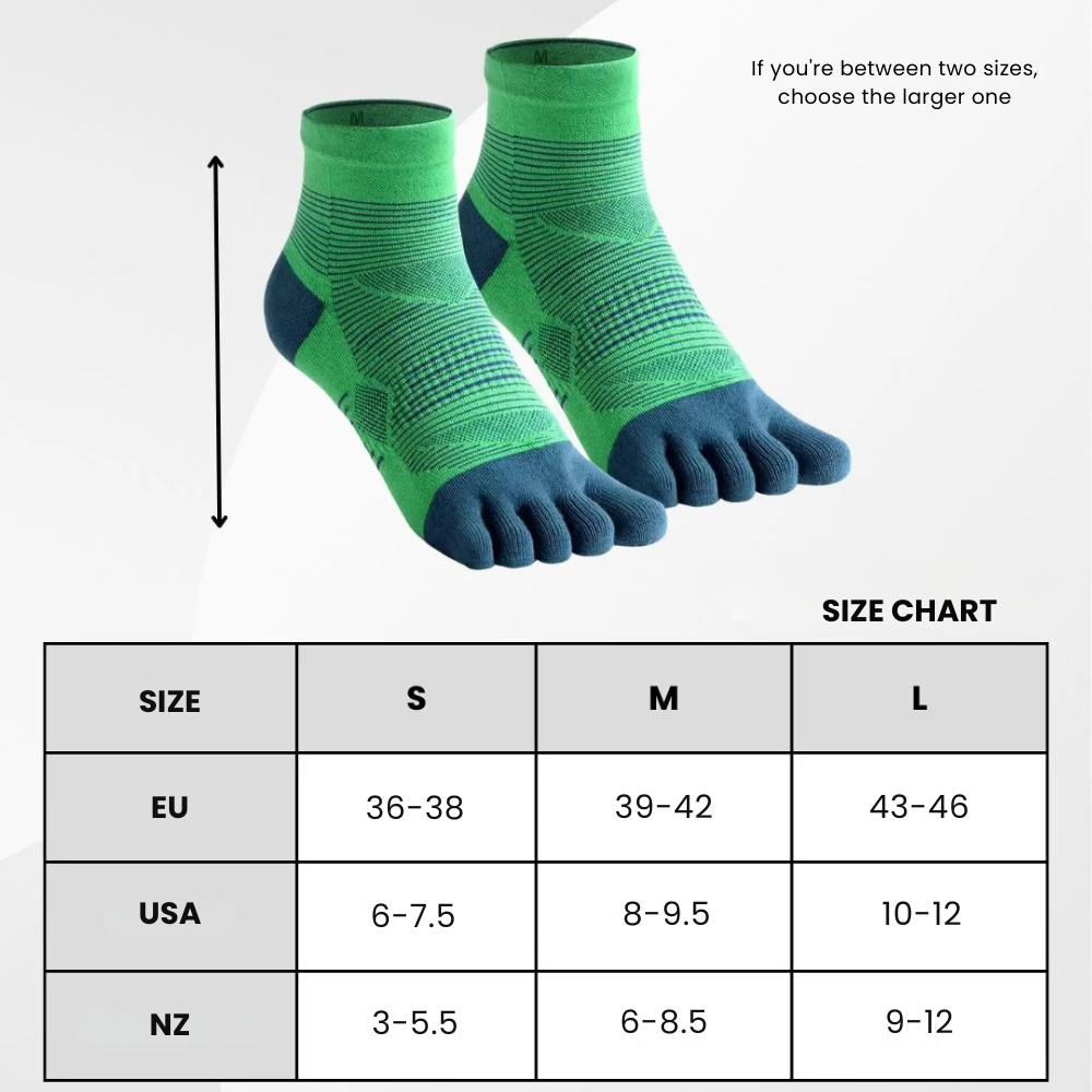 MERINO — Mini-crew height