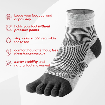 MERINO — Mini-crew height